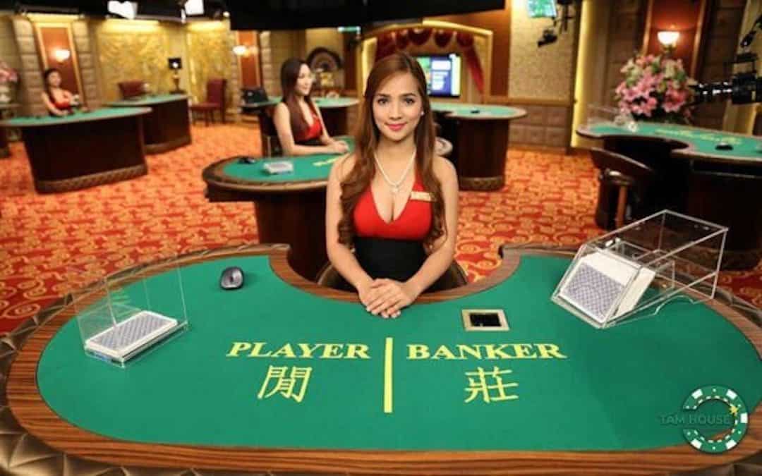 Vai trò của dealer là gì trong casino?
